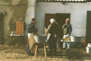 Schlachtefest